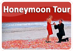 make your honeymmon in golden triangle tour packages